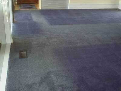 Australian Carpet Dyeing