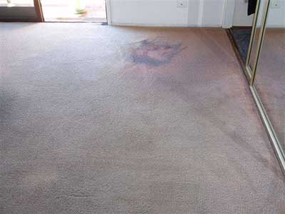 Full Carpet Dyeing